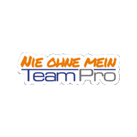 Team-Pro