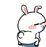 TerpBunny