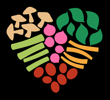 TheHealthyBody