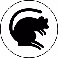 The_Black_Rats