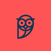 The_Owl