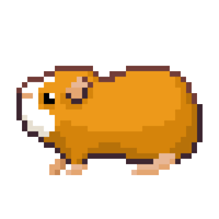 Thislilpiggy