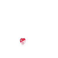 Togg2025