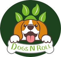 DogsNRollLatam