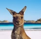 TourismAustralia