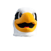 UMWSAE