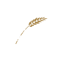 Vakantiepark-de-koornaar