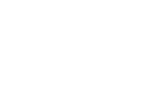 vandamgroep