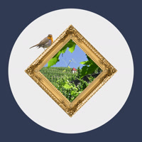 VienneCondrieuTourisme