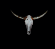 VierFuerTexasGmbH
