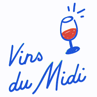 Vinsdumidi