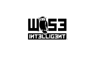 WISEINTELLIGENT