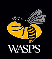 Wasps