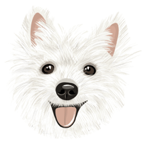 WestieVibes