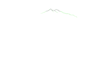Wiesbauer