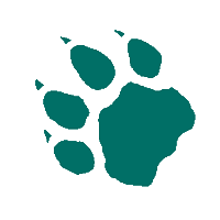 WildcatMountain