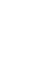 WingmanDiscs