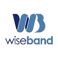 Wiseband