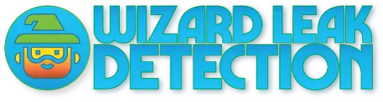 Wizardleakdetection