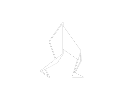 WokSnogu