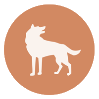 Wolfshoeher_Tonwerke