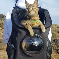 YourCatBackpack