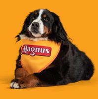 adimaxpet