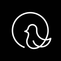 adovedesign
