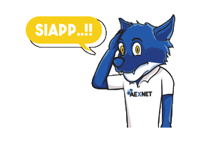 aexnetindonesia