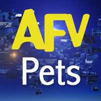 afvpets