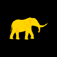 agenciawonzi