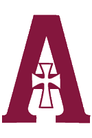 ahsrockets