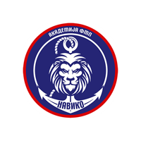 akademijafmp