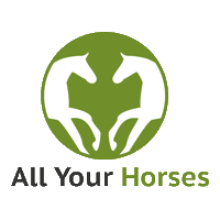 allyourhorses