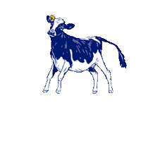 altadenadairy