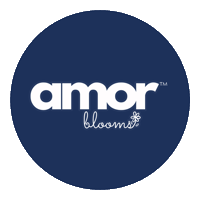 amorblooms