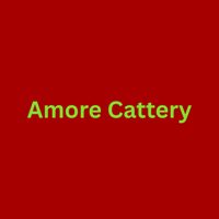amorecattery