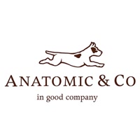anatomicshoes