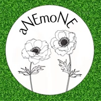 anemonejardineria
