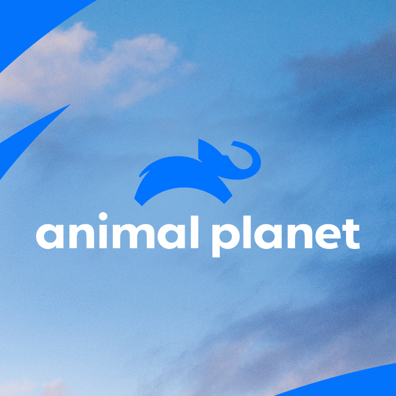 Animal Planet GIFs - Find & Share on GIPHY