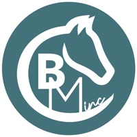 bossmaresinc