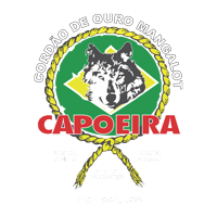 annarborcapoeira