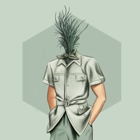 arboledamx