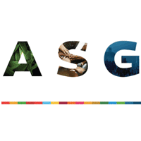 asgmotorsport