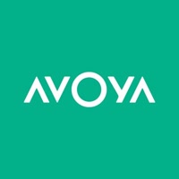 avoyaicecek