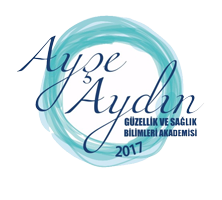 ayseaydinakademi