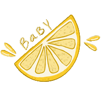 babylemonslice