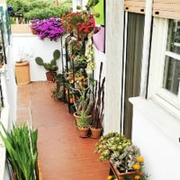 balcone-fiorito