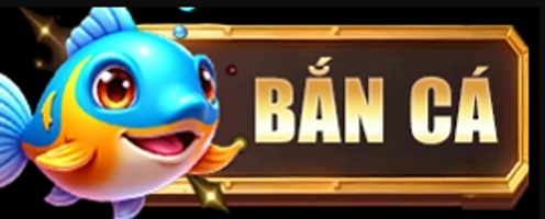 banca4rockingranch