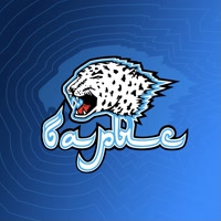 barys_official
